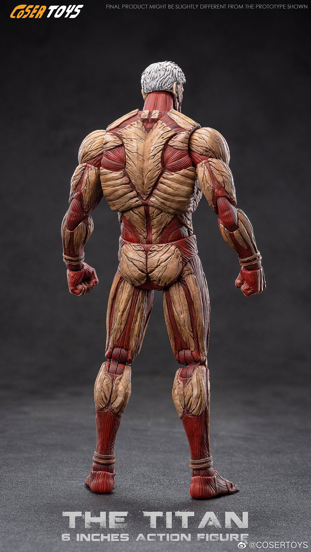 Coser Toys (VTOYS) Armored Titan Action Figure - Omnime