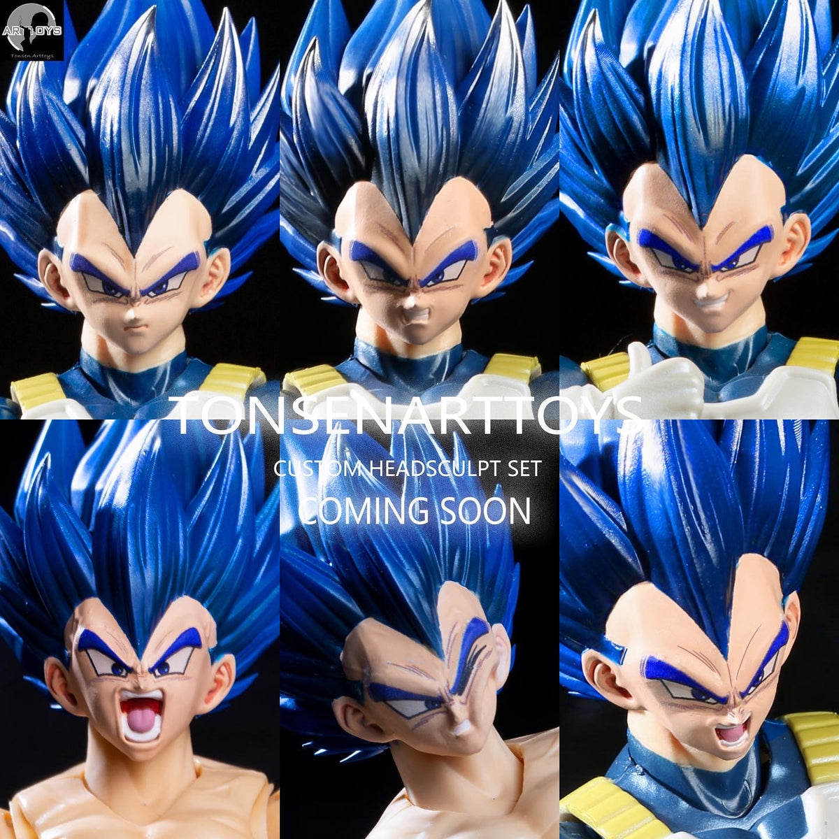 Official SSj2 Goku x Tonsen Arttoys Majin Vegeta The Vegeta head does