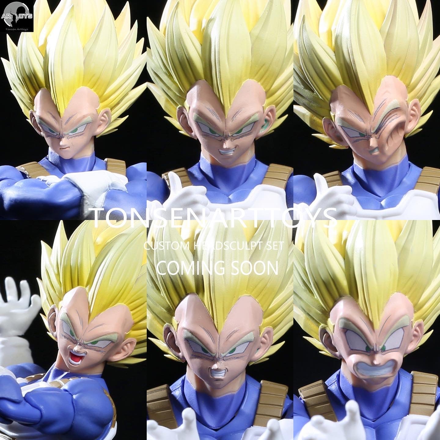 Official SSj2 Goku x Tonsen Arttoys Majin Vegeta The Vegeta head does